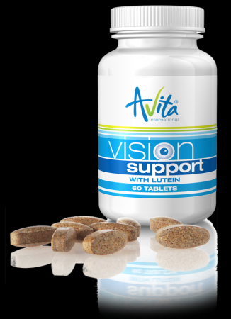 VISION SUPPORT